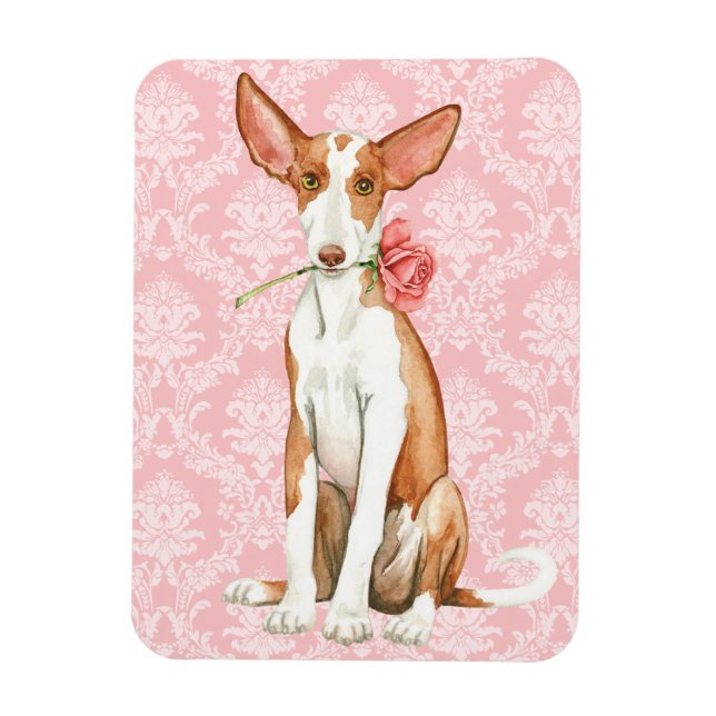 Magnet Flexible Rose Valentin Ibizan Hound (Vertical)