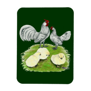Magnet Flexible Rosecomb naine et poussins
