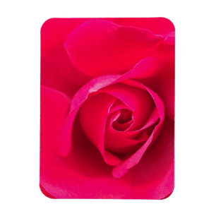 Magnet Flexible Rouge romantique Rose rose v2