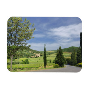 Magnet Flexible Route de campagne sinueuse entre des cyprès en