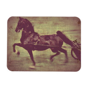 Magnet Flexible Saddlebred Song