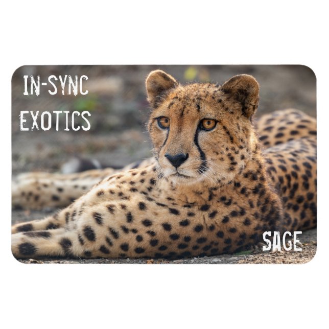 Magnet Flexible Sage - (Horizontal)