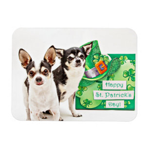 Magnet Flexible Saint Patrick's Day Chihuahua's