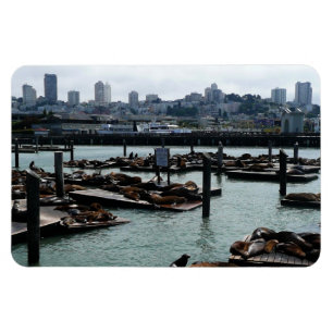 Magnet Flexible San Francisco et Pier 39 Sea Lions City Skyline