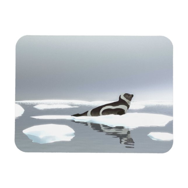 Magnet Flexible Sceau De Ruban Sur Glace (Horizontal)