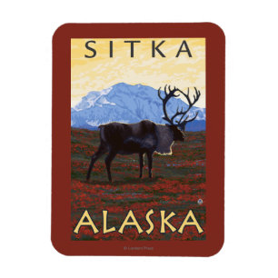 Magnet Flexible Scène de caribou - Sitka, Alaska