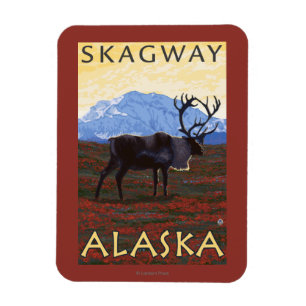 Magnet Flexible Scène de caribou - Skagway, Alaska