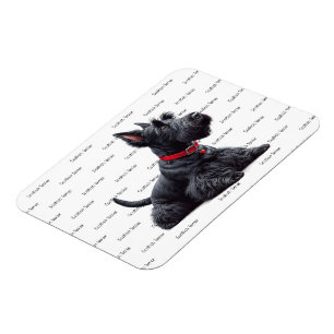 Magnet Flexible Scottish Terrier à
