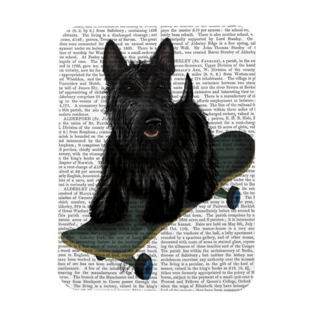 Magnet Flexible Scottish Terrier et Skateboard (Vertical)
