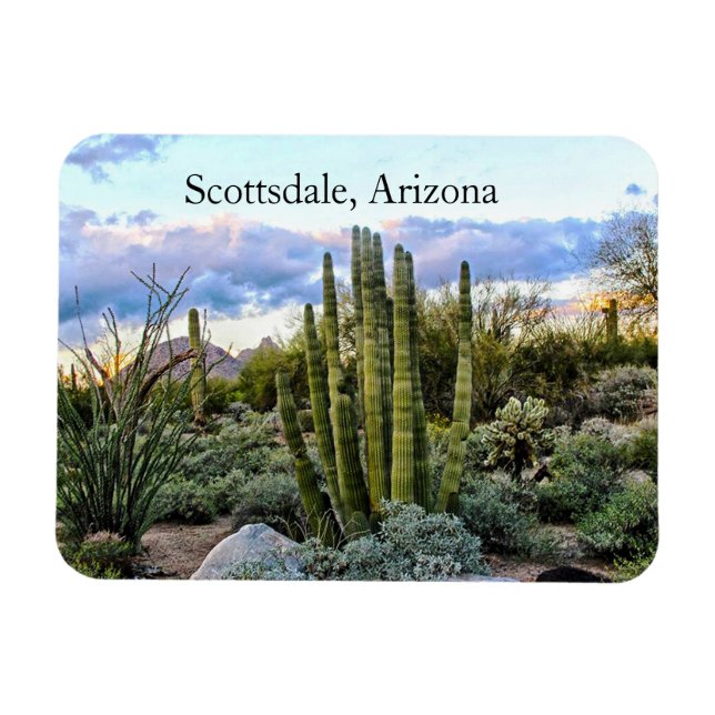 Magnet Flexible Scottsdale Succulent Sunset, Scottsdale, Arizona (Horizontal)