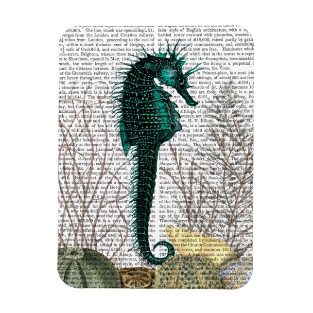 Magnet Flexible SeaHorse et SeaUrchins 2 (Vertical)