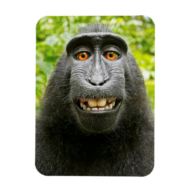 Magnet Flexible Selfie de singe (Vertical)