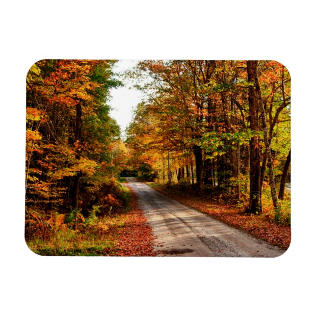 Magnet Flexible Sentier boisé avec feuillage d'automne (Horizontal)