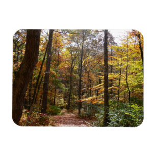 Magnet Flexible Sentier ensoleillé d'automne dans le parc d'État L