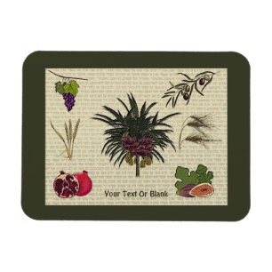 Magnet Flexible Sept espèces