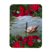 Serene Goose Of Wild Rose Pond