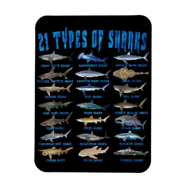 Magnet Flexible Shark Lovers 21 Types of Sharks Ocean Animal (Vertical)