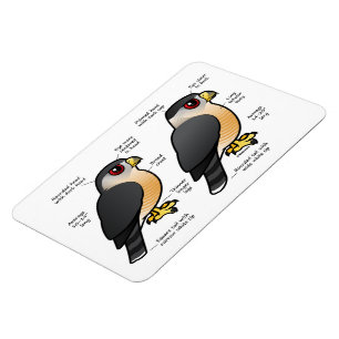 Magnet Flexible Sharpie de la cage v