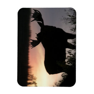 Magnet Flexible Silhouette d'orignaux