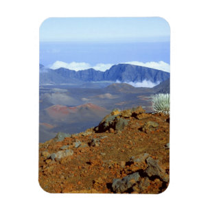 Magnet Flexible Silversword sur le bord du cratère Haleakala depui
