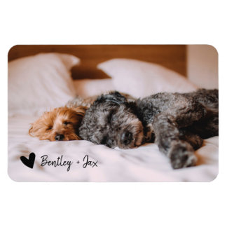 Magnet Flexible Simple moderne photo pleine chien animal de compag