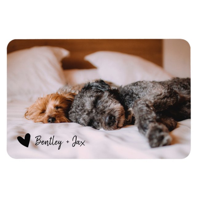 Magnet Flexible Simple moderne photo pleine chien animal de compag (Horizontal)
