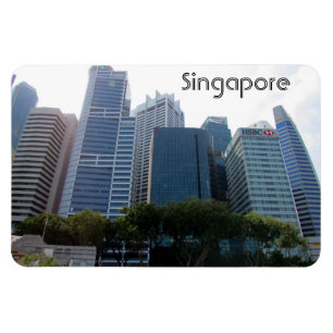 Magnet Flexible singapour