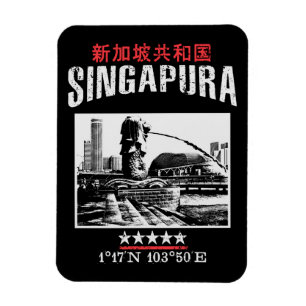 Magnet Flexible Singapour