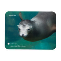 Smithsonian | Lion de mer