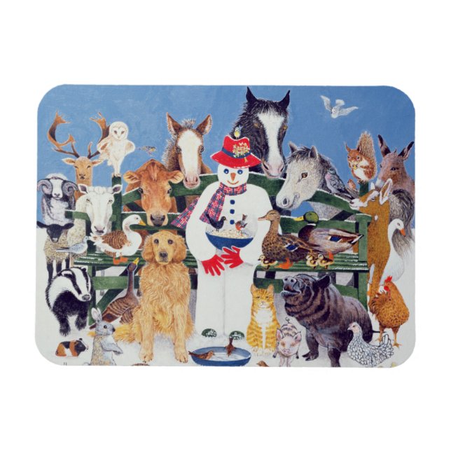 Magnet Flexible Soins (Horizontal)