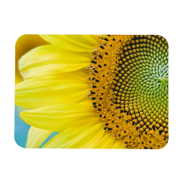 Magnet Flexible Soleil brillant (Horizontal)