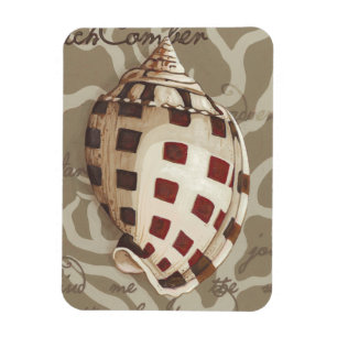 Magnet Flexible Sonnet I