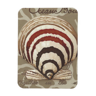 Magnet Flexible Sonnet II