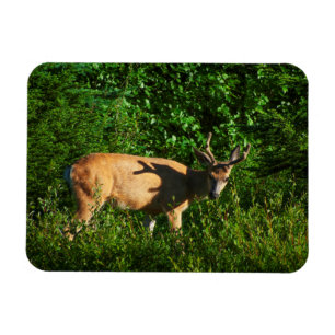 Magnet Flexible Soyez sur votre chemin