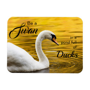 Magnet Flexible Soyez un cygne magnifique citations inspirationnel
