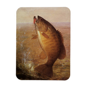 Magnet Flexible Sports vintages Pêche, Poisson Brown à grande bouc