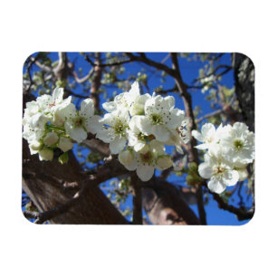Magnet Flexible Spring Flowering Pear Tree