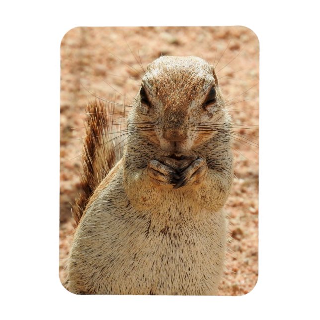 Magnet Flexible Squerrl having breakfast (Vertical)