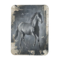 Stallion noir