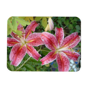 Magnet Flexible Stargazer Lilies Jardin Floral