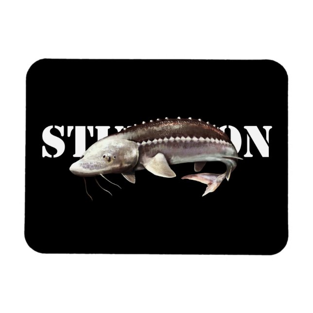 Magnet Flexible Sturgeon (Horizontal)