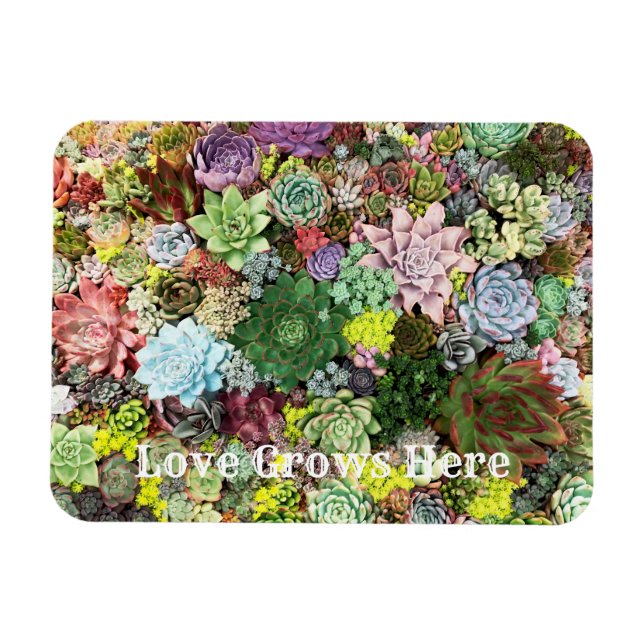 Magnet Flexible Succulents colorés (Horizontal)