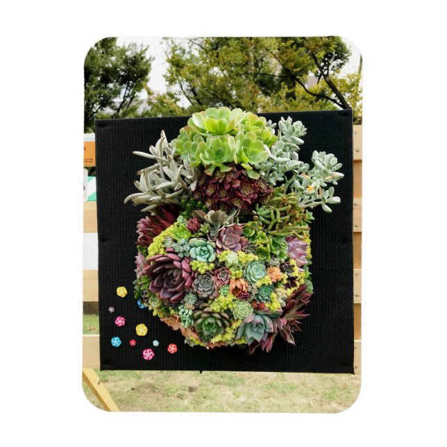 Magnet Flexible Succulents décoratifs (Vertical)