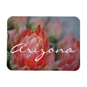 Magnet Flexible Summer blooms from Arizona