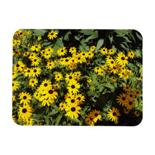 Magnet Flexible Sunlit Meadow
