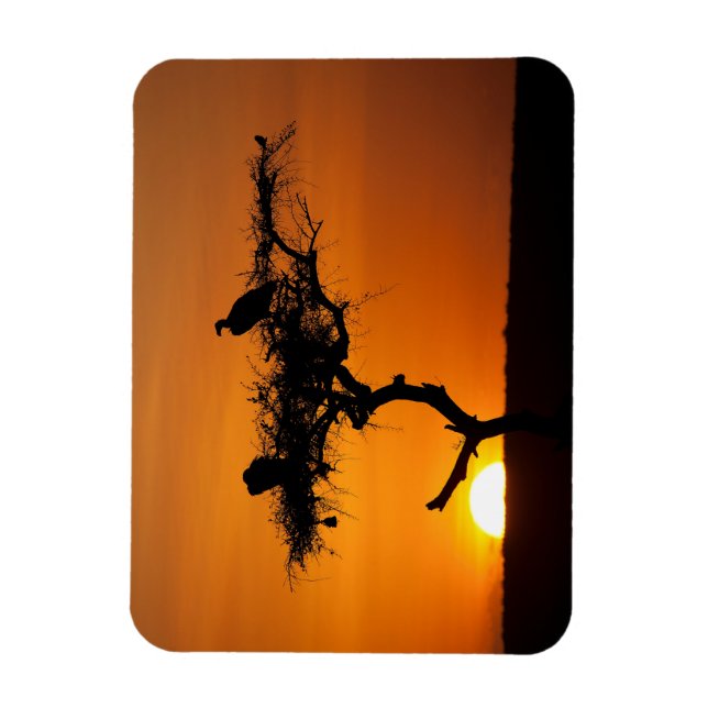 Magnet Flexible Sunrise at the Masai Mara, Kenya (Vertical)