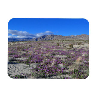 Magnet Flexible Super Bloom du désert 2019 Borrego Springs CA