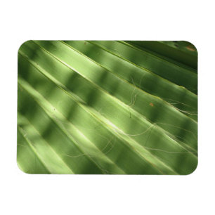 Magnet Flexible Surfaces naturellement Cool_Fluted Frond