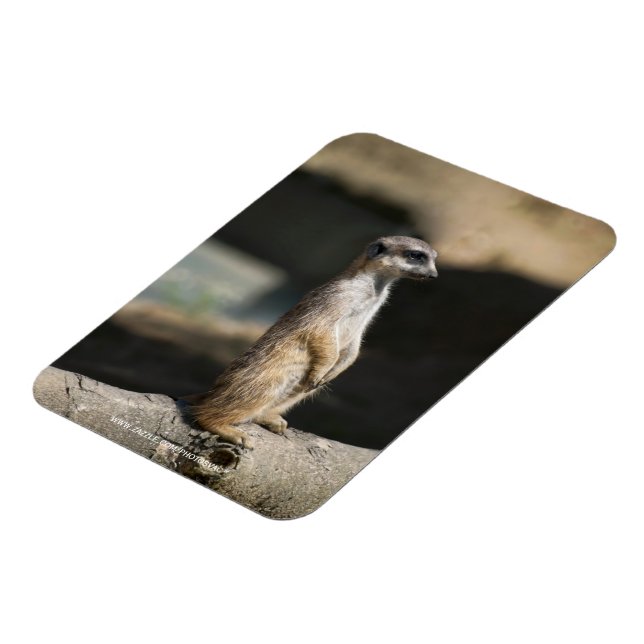 Magnet Flexible Suricate (Côté Gauche)