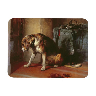 Magnet Flexible Suspension